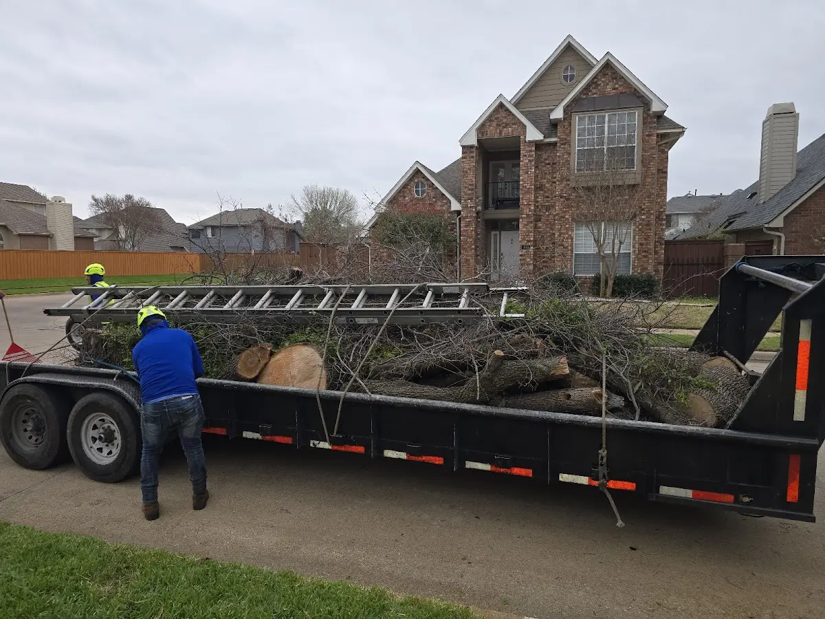 Expert Lot Clearing with proper safety equipment in El Granada